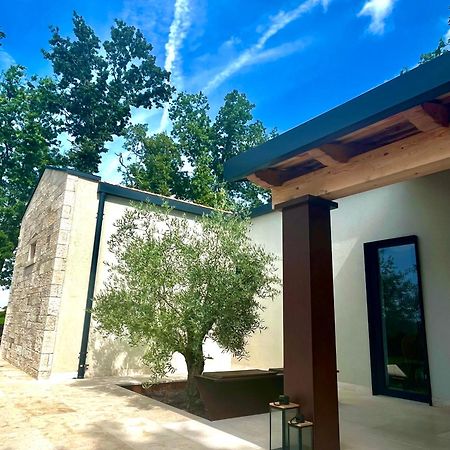 Sveti Petar u Sumi Casa Bosca With Heated Poolヴィラ エクステリア 写真
