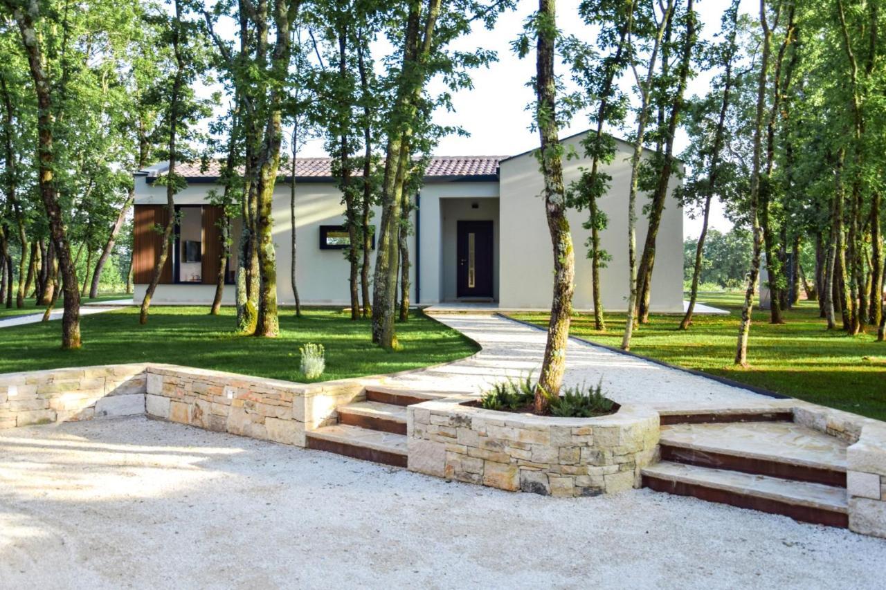 Sveti Petar u Sumi Casa Bosca With Heated Poolヴィラ エクステリア 写真