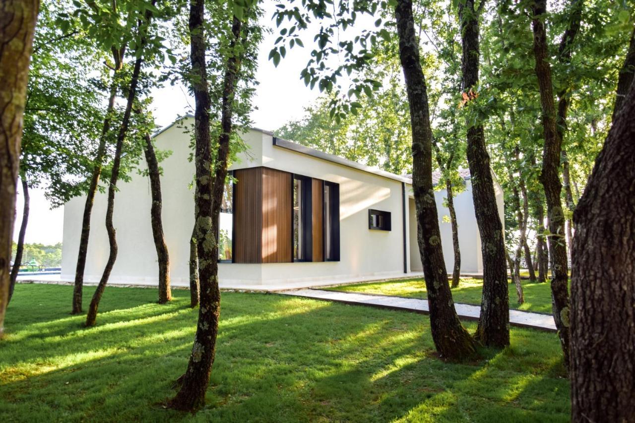 Sveti Petar u Sumi Casa Bosca With Heated Poolヴィラ エクステリア 写真