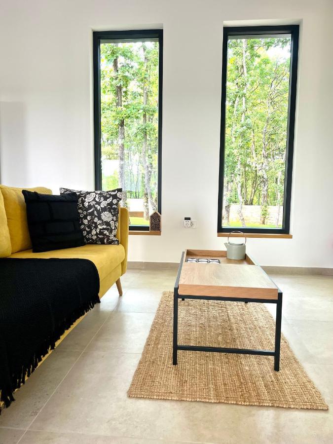 Sveti Petar u Sumi Casa Bosca With Heated Poolヴィラ エクステリア 写真