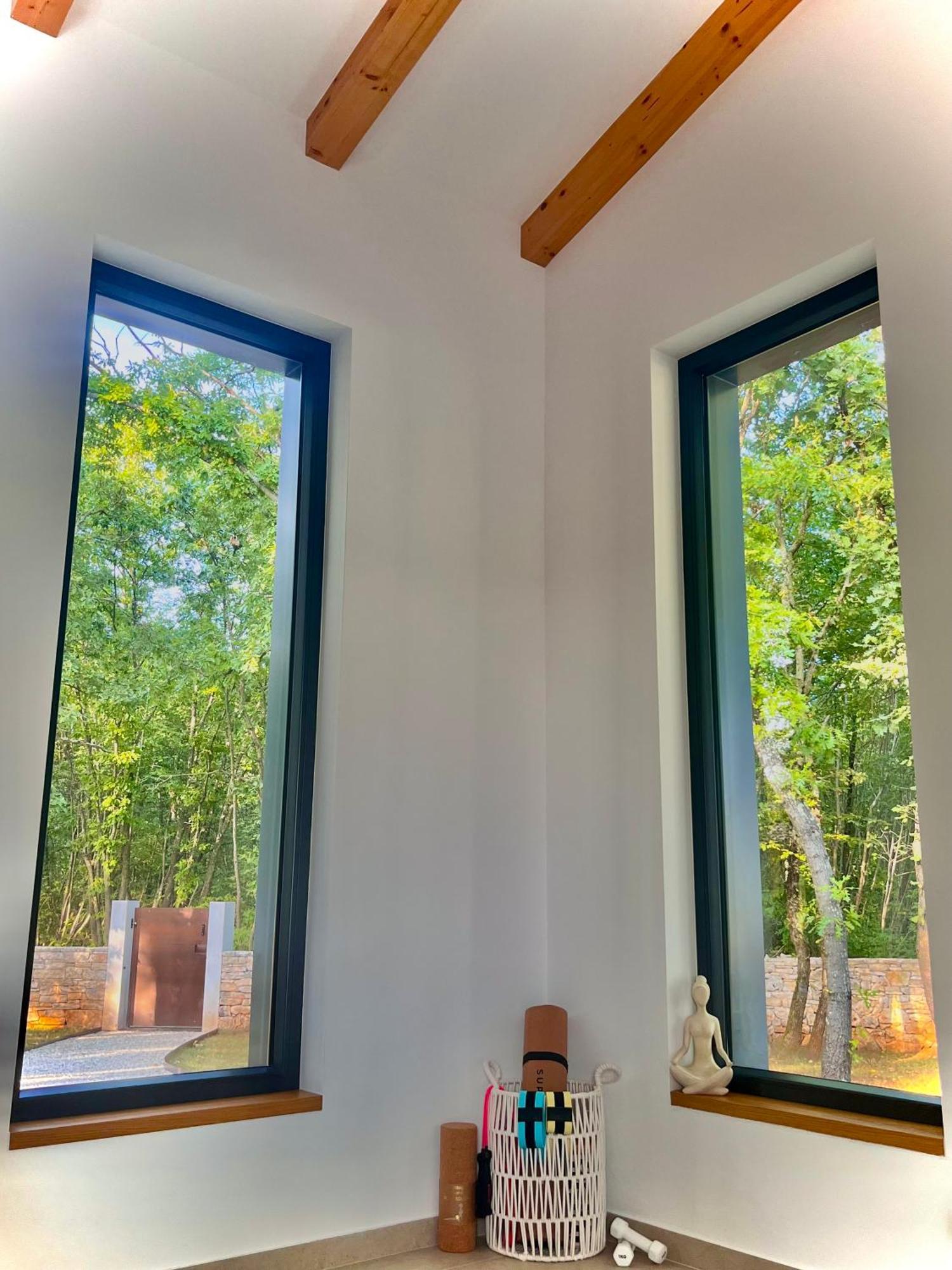 Sveti Petar u Sumi Casa Bosca With Heated Poolヴィラ エクステリア 写真