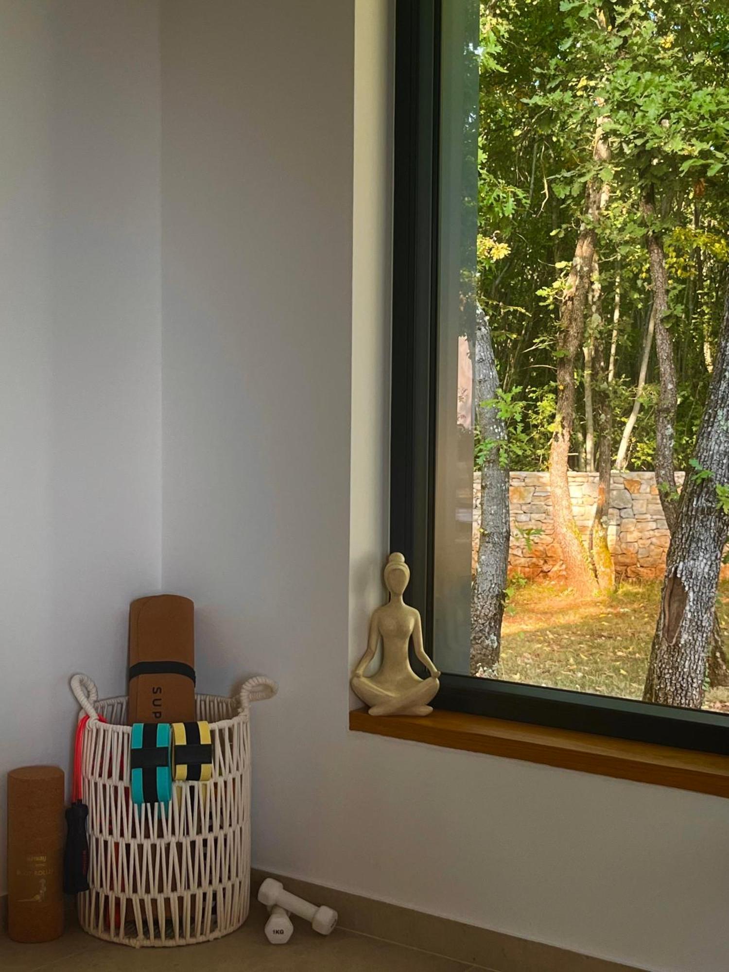 Sveti Petar u Sumi Casa Bosca With Heated Poolヴィラ エクステリア 写真