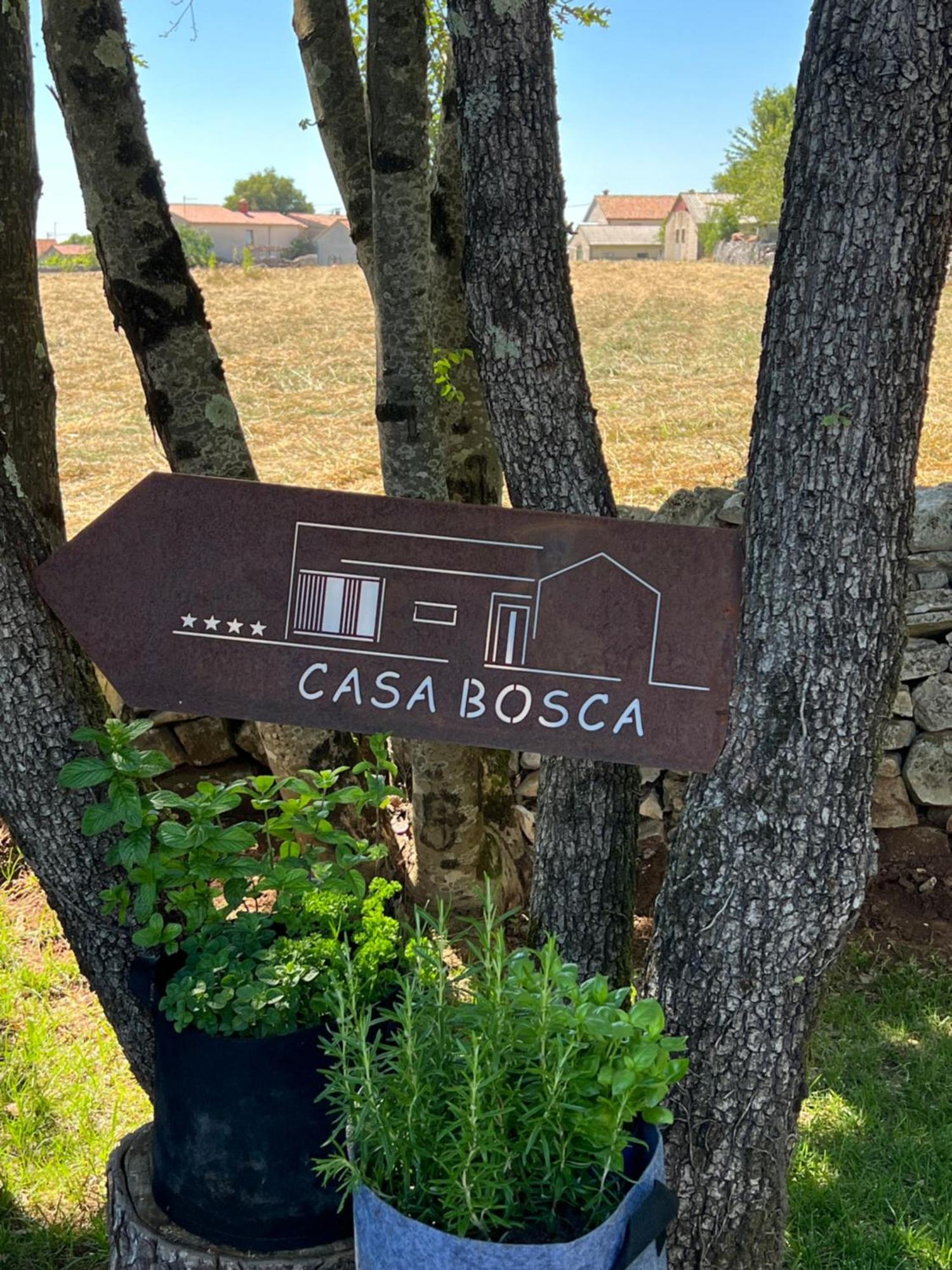 Sveti Petar u Sumi Casa Bosca With Heated Poolヴィラ エクステリア 写真