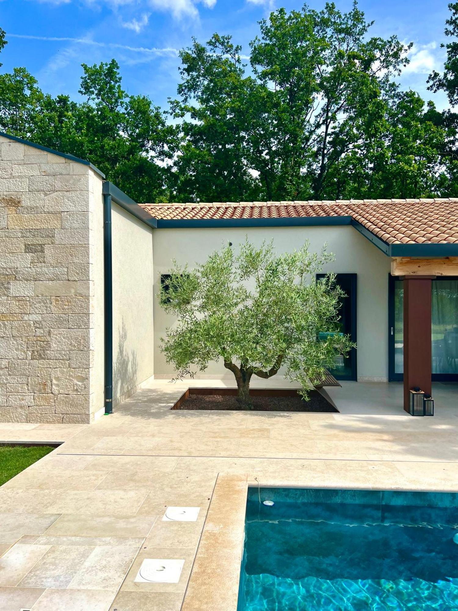 Sveti Petar u Sumi Casa Bosca With Heated Poolヴィラ エクステリア 写真